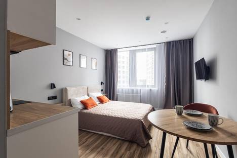 Однокомнатная квартира в аренду посуточно в Санкт-Петербурге по адресу пр-кт Энергетиков, 2к2