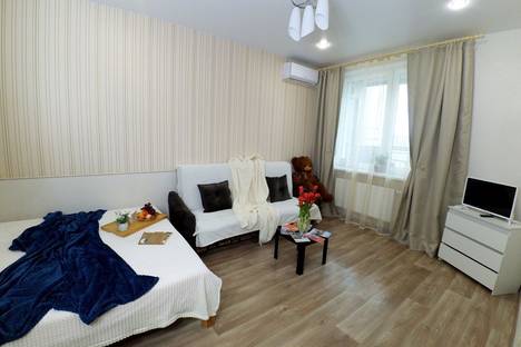 Однокомнатная квартира в аренду посуточно в Казани по адресу ул. Родины, 24Г