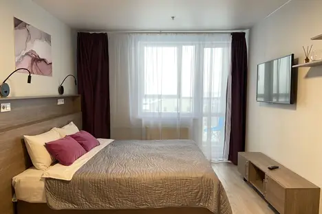 1-комнатная квартира в Санкт-Петербурге, Детский пер., 2