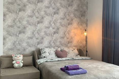 1-комнатная квартира в Москве, Москва, р-н  Троицк, 3-я Нововатутинская ул., 6