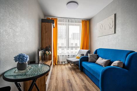 1-комнатная квартира в Москве, Москва, ул. Николая Озерова, 8к1