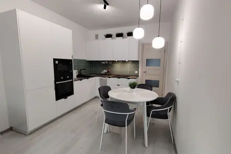 2-комнатная квартира в Санкт-Петербурге, Верхне-Каменская ул., 9к1