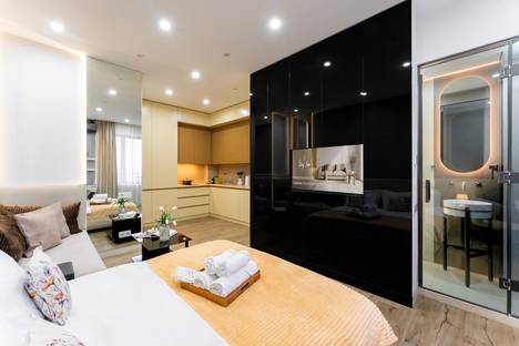 1-комнатная квартира в Ереване, ул. Павстоса Бюзанда, 97