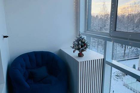 1-комнатная квартира в Сестрорецке, Сестрорецк, ул. Инструментальщиков, 18