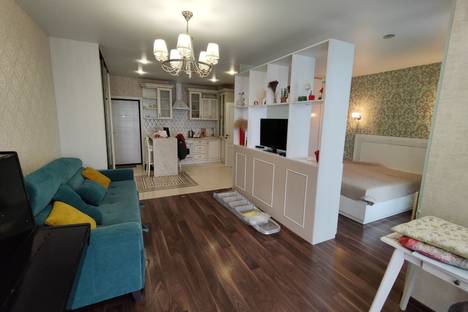 Однокомнатная квартира в аренду посуточно в Минске по адресу ул. Макаёнка, 12А