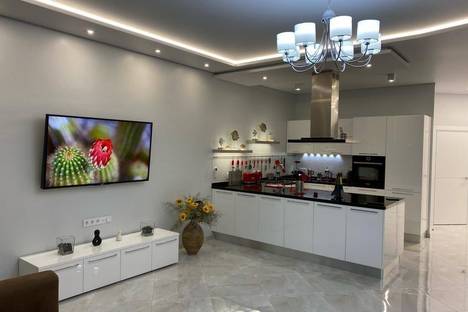 Трёхкомнатная квартира в аренду посуточно в Сочи по адресу мкр. Светлана, пр-кт Пушкина, 6