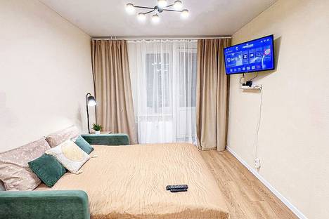 1-комнатная квартира в Колпине, Колпино, ул. Севастьянова, 32к4