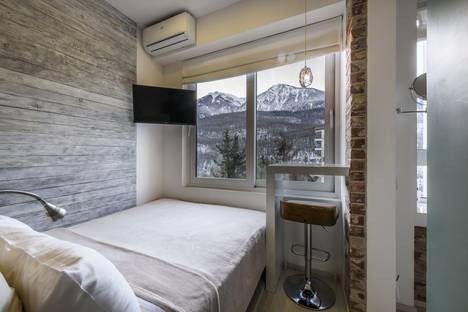 1-комнатная квартира в Красной Поляне, Калиновая ул., 9/6