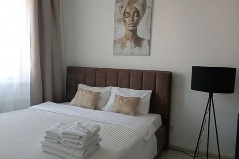 1-комнатная квартира в поселке Западный, пос. Западный, Олимпийская ул., 9Б