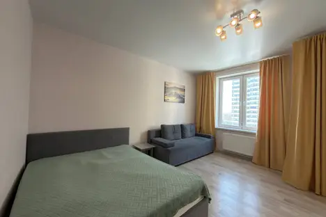 1-комнатная квартира в Новосибирске, Новосибирск, ул. Бородина, 54