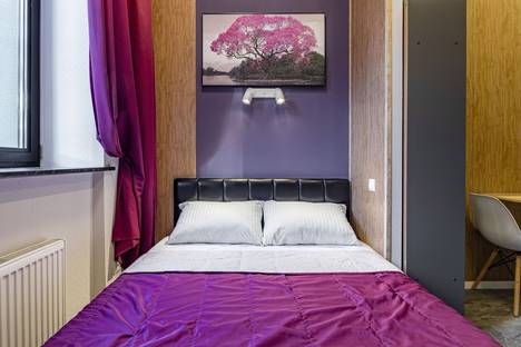 Однокомнатная квартира в аренду посуточно в Москве по адресу 12-я Парковая ул., 5