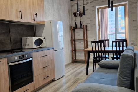 Однокомнатная квартира в аренду посуточно в Новосибирске по адресу ул. Ясный б-г, 8