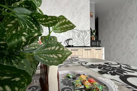 Однокомнатная квартира в аренду посуточно в Воронеже по адресу ул. 45-й Стрелковой Дивизии, 232/1