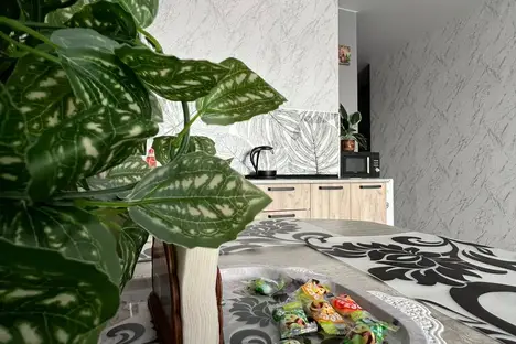 1-комнатная квартира в Воронеже, Воронеж, ул. 45-й Стрелковой Дивизии, 232/1