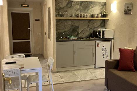 1-комнатная квартира в Санкт-Петербурге, Будапештская ул., 87к3