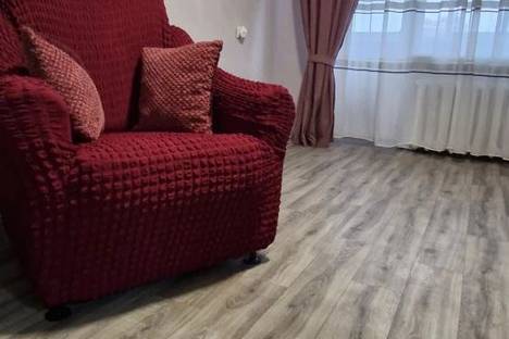 Двухкомнатная квартира в аренду посуточно в Рязани по адресу Первомайский пр-кт, 74к1