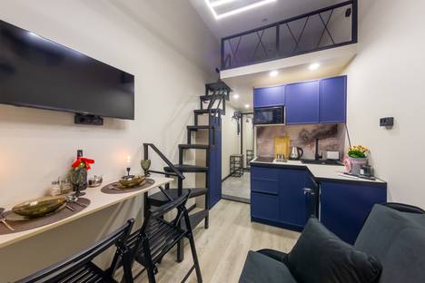 Однокомнатная квартира в аренду посуточно в Санкт-Петербурге по адресу Садовая ул., 129