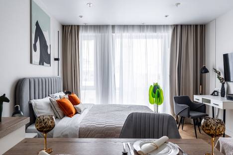 Однокомнатная квартира в аренду посуточно в Санкт-Петербурге по адресу Социалистическая ул., 21