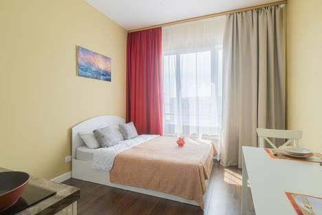 Однокомнатная квартира в аренду посуточно в Санкт-Петербурге по адресу пр-кт Крузенштерна, 4