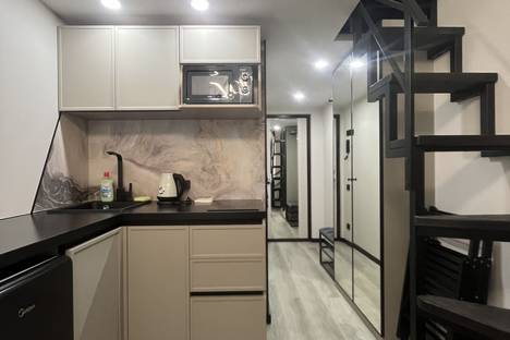 Однокомнатная квартира в аренду посуточно в Санкт-Петербурге по адресу Малая Посадская ул., 25/4