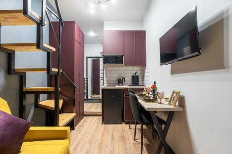 Однокомнатная квартира в аренду посуточно в Санкт-Петербурге по адресу пер. Ульяны Громовой, 5