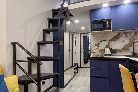 Однокомнатная квартира в аренду посуточно в Санкт-Петербурге по адресу Малая Посадская ул., 25/4