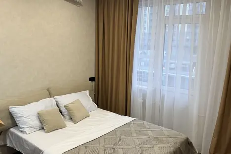 1-комнатная квартира в Ростове-на-Дону, Ростов-на-Дону, пр-кт Маршала Жукова, 18