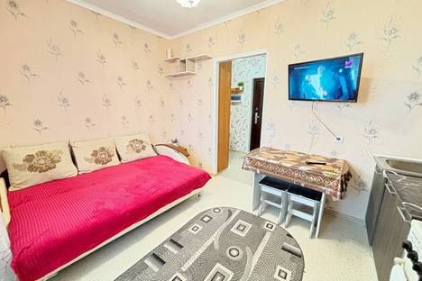 Однокомнатная квартира в аренду посуточно в Ульяновске по адресу ул. Генерала Кашубы, 1