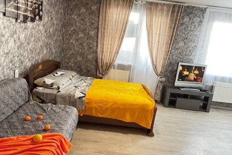 Однокомнатная квартира в аренду посуточно в Ульяновске по адресу мкр. Новый г., пр-кт Ливанова, 8