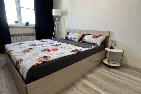 Однокомнатная квартира в аренду посуточно в Самаре по адресу Аэродромная ул., 102А