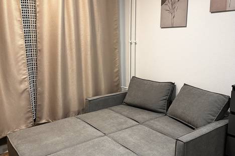 Однокомнатная квартира в аренду посуточно в поселке Песочном по адресу Садовая ул., 77