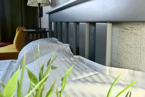 1-комнатная квартира в Воронеже, ул. Загоровского, 9/3