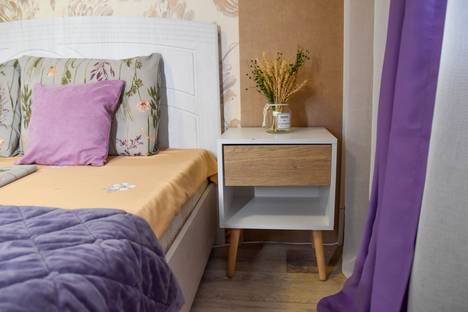 1-комнатная квартира в Воронеже, ул. Крынина