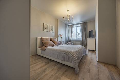 Однокомнатная квартира в аренду посуточно в Нижнем Новгороде по адресу Московское ш., 33А