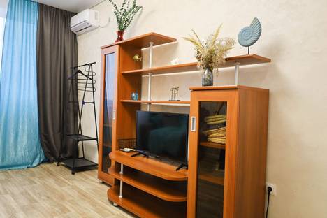 1-комнатная квартира в Воронеже, ул. Суворова, 122В