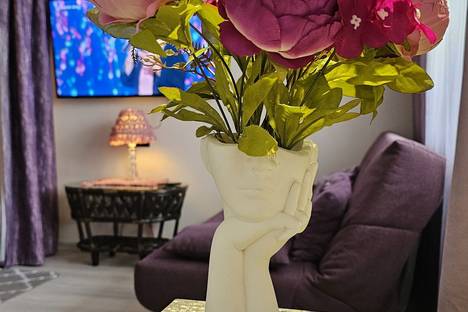 1-комнатная квартира в Петрозаводске, Лососинское ш., 21к9