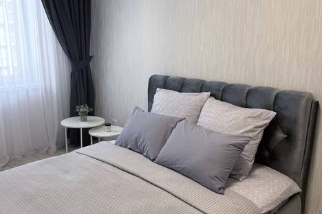 Двухкомнатная квартира в аренду посуточно в Челябинске по адресу ул. Мечты, 17