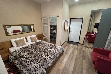 Однокомнатная квартира в аренду посуточно в Ломоносове по адресу Александровская ул., 22/17