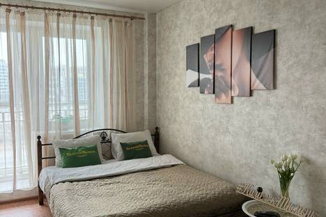 Однокомнатная квартира в аренду посуточно в Тюмени по адресу Кремлёвская ул., 112к1