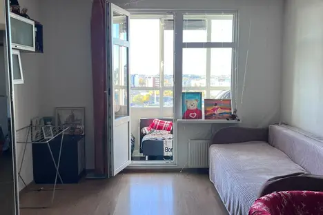 1-комнатная квартира в Санкт-Петербурге, пр-кт Энергетиков, 9к1