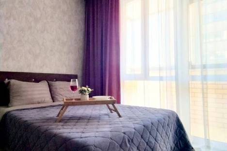 Однокомнатная квартира в аренду посуточно в Тюмени по адресу 2-я Луговая ул., 24к3