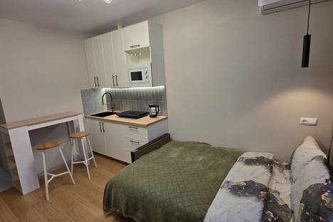 1-комнатная квартира в Воронеже, ул. Славы, 7