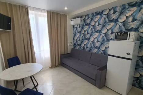 1-комнатная квартира в Сочи, Сочи, ул. Яна Фабрициуса, 66/6