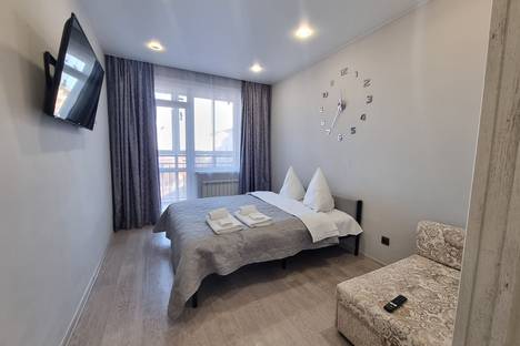 Однокомнатная квартира в аренду посуточно в Иркутске по адресу мкр. Топкинский, 67