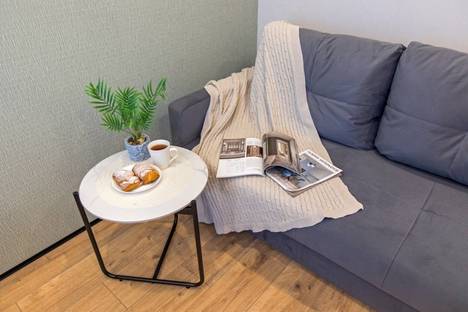 Однокомнатная квартира в аренду посуточно в Зеленоградске по адресу ул. Тургенева, 16А