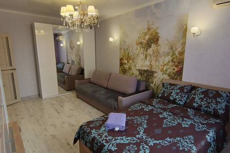 Однокомнатная квартира в аренду посуточно в Краснодаре по адресу ул. им. Жлобы, 141