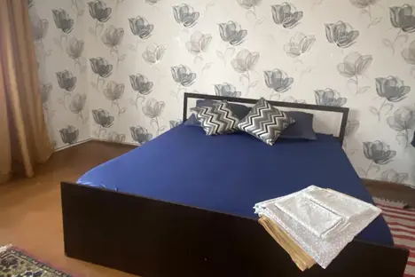 1-комнатная квартира в Воронеже, ул. Карла Маркса, 49