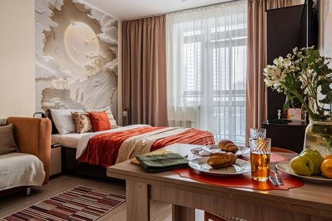 Однокомнатная квартира в аренду посуточно в Екатеринбурге по адресу ул. Чайковского, 66А