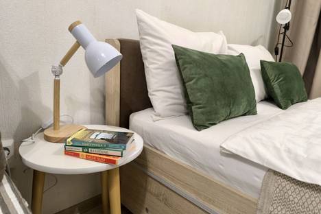 Однокомнатная квартира в аренду посуточно в Екатеринбурге по адресу ул. Чапаева, 79