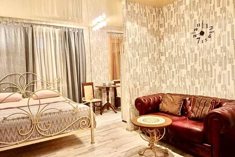 Однокомнатная квартира в аренду посуточно в Екатеринбурге по адресу Мельковская ул., 14